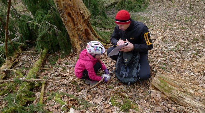 geocaching mit Kindern