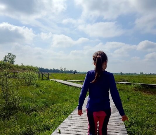 Bohlenweg Leipheimer Moos