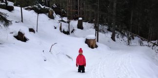 winterwandern mit Kindern Winterwanderungen
