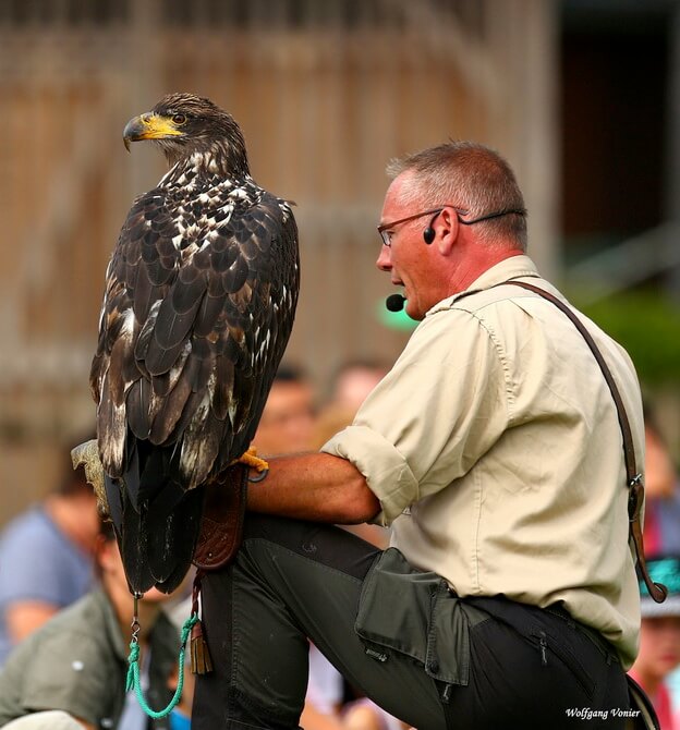 Wild- und Freizeitpark Allensbach