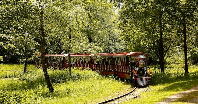 Wild und Freizeitpark Allensbach