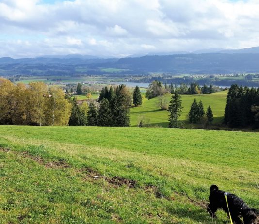Wachters Alpe mit Kindern