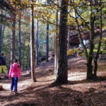 Dahner Felsenland wandern mit Kindern Dahner Felsenpfad