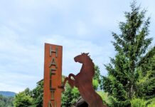 Auf den Spuren der sanften Blonden – der Haflinger Erlebnisweg in Südtirol Haflinger Erlebnisweg Südtirol